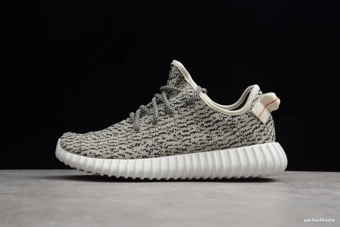 AQ4832 Boost Adidas YEEZY Dove 350 Turtle 0821
